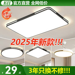 Changhong Ceiling Lamp for Living Room and Bedroom, 2025 New Model, Led Balcony, Kitchen, Dining Room, Eye Protection, Ultra-Thin, Whole House Package