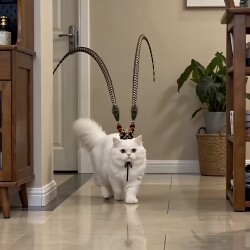 Wu'An Hou's Same Style Hair Accessory Cat Crown Creative Pet Costume Show Fun Purple Gold Crown Same Style as Seen on Zhiyu Tv