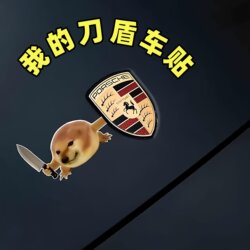 My Creative and Fun Car Stickers, Funny Car Logos, Triangular Window Stickers, Scratch Cover Stickers