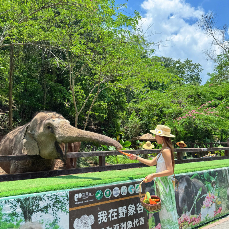 广东湛江茂名阳江云浮肇庆韶关出发去到云南西双版纳旅游纯玩小团