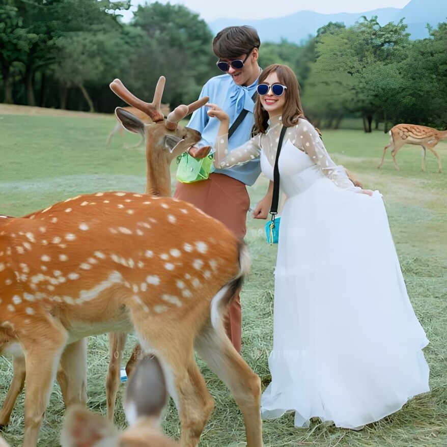 【神农架私家团】神农架旅游三日游 神农架大九湖天燕景区纯玩