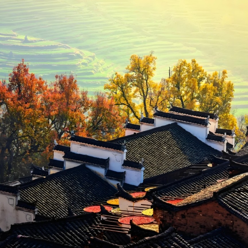 黄山+西递宏村+新安江+徽州古城5日4晚跟团游1晚住黄山顶+3晚市区