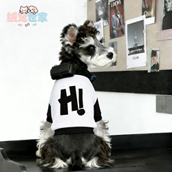 Summer Dog Clothes for Large Dogs, Thin Trendy Brand T-Shirts for Golden Retrievers to Prevent Shedding, Quick-Dry Mesh Clothing for Pets Like Teddy