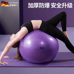 German Yoga Ball, Kidsren's Sensory Training Ball, Thickeneded Fitness Ball, Explosion-Proof Frosted Ball, Special Sports Equipment for Adults