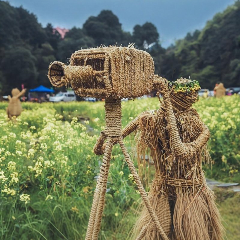 南昌九江庐山景德镇鄱阳湖婺源篁岭三清山井冈山龙虎山7天6晚跟团