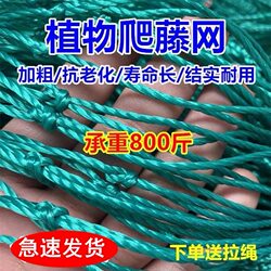 Vine Netting for Plants, Flowers, Melons, Fruits, Loofah, Bitter Melon, Hanging Melon, Grape, Gourd, Beans, Passion Fruit, Climbing Net