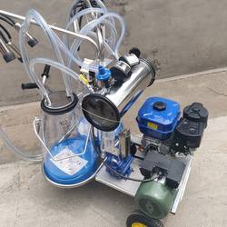 Oil and electricity dual-purpose milk, sheep and yak milking