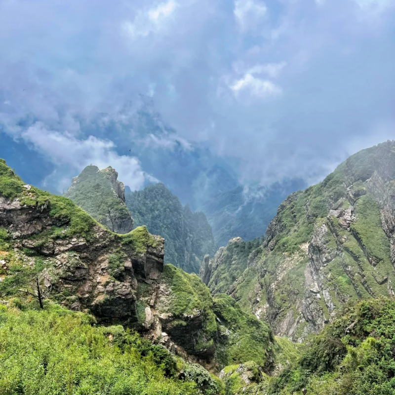 『神农架+大九湖2日游』司机兼向导/私家包车游 任性1次玩个够