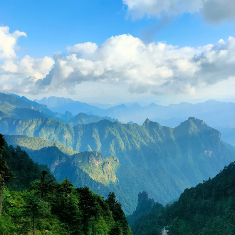 『神农架+大九湖2日游』司机兼向导/私家包车游 任性1次玩个够