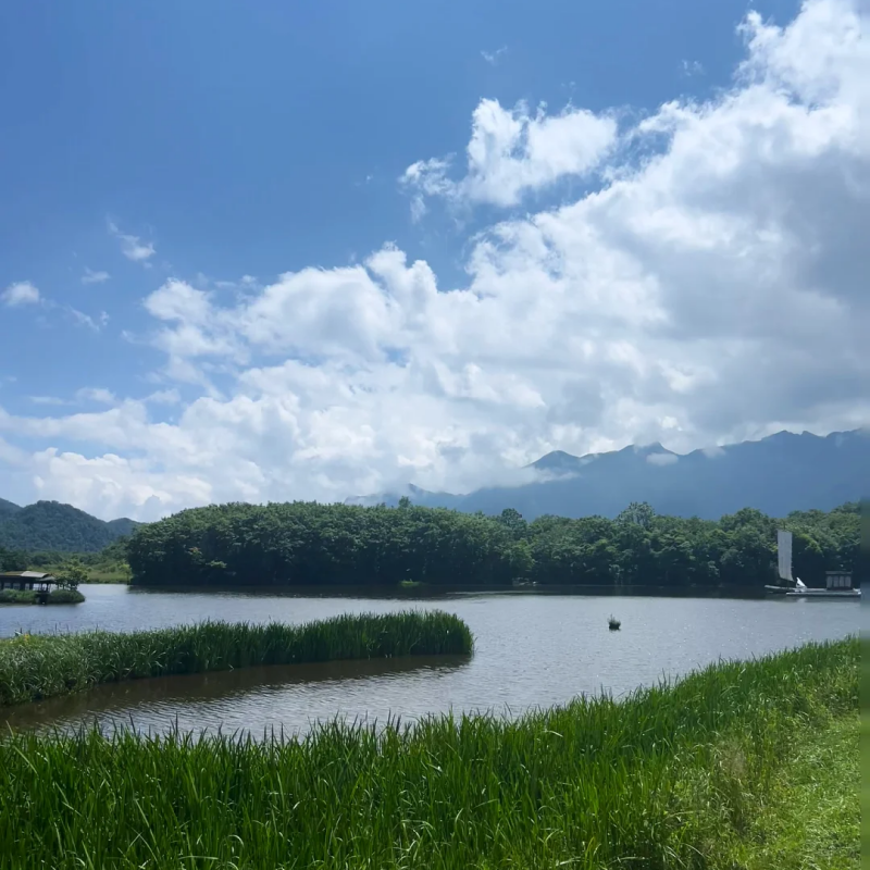 『湖北神农架+大九湖+宜昌三峡全景3日游』司机兼向导/私家包车游