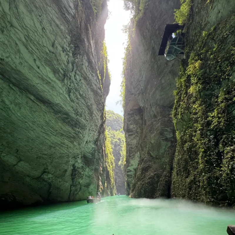 【私家包车游】湖北全景大环线8日游 恩施/宣恩+神农架+大九湖