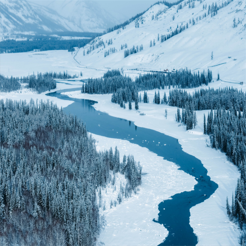 越野双湖8日游喀纳斯禾木赛里木湖
