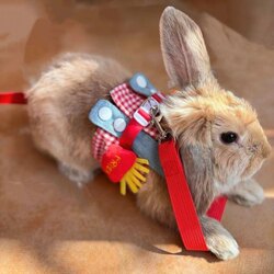 Rabbit Leash, Cute Bunny Clothes, Harness Set, Outdoor Walking, Anti-Escape, Pet Supplies