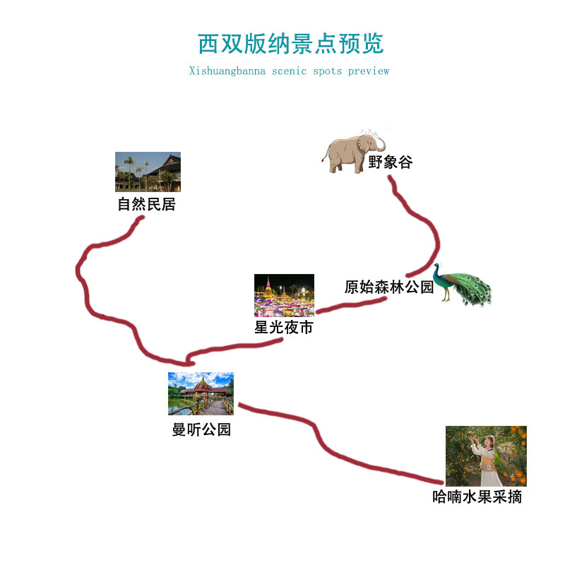 飞猪严选8人团云南西双版纳旅游5天4晚跟团游0购物亲子采摘植物园