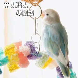 High -end characteristic peony parrot pornographic live birds suitable for pets with hand -raising loved one

