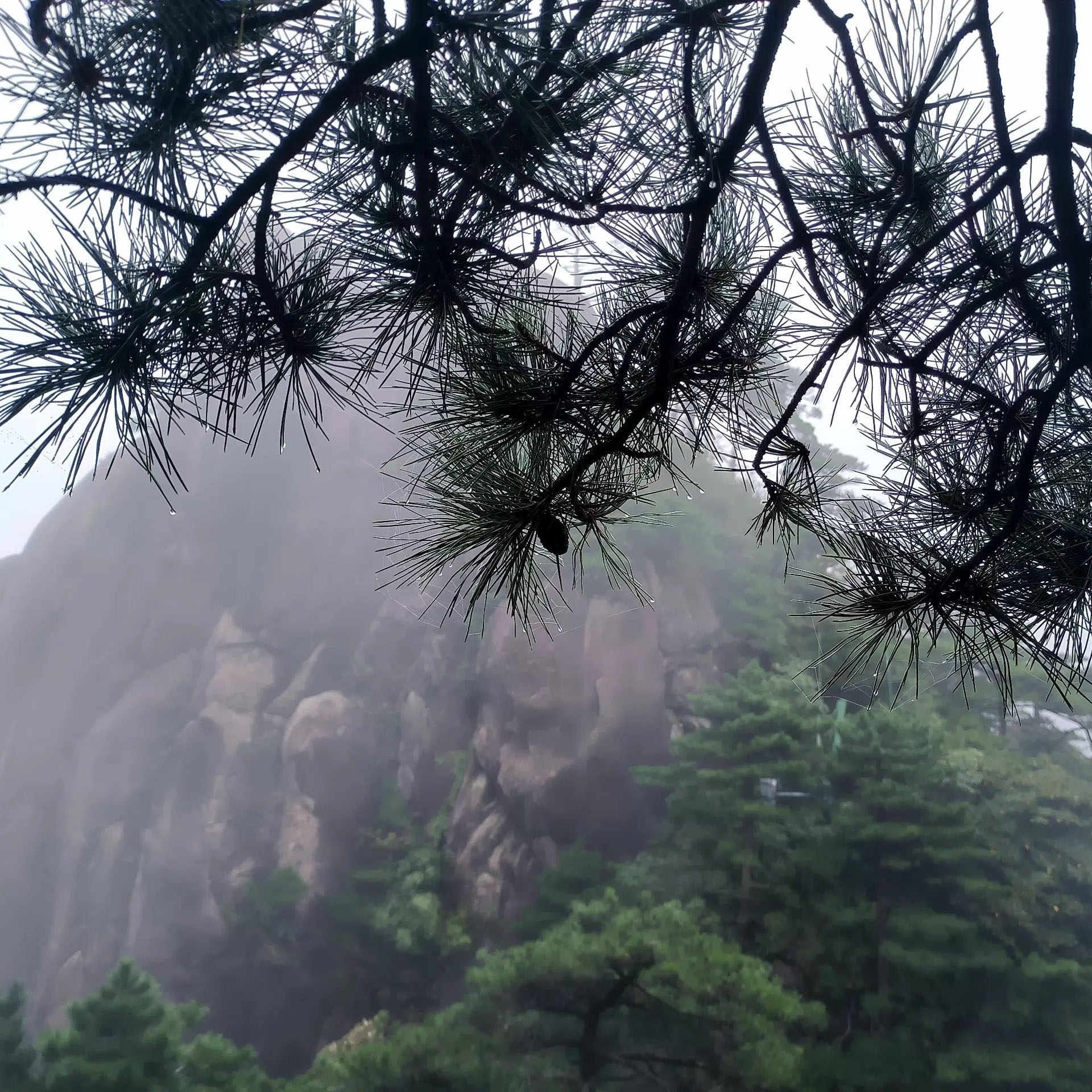 臻选︱望仙谷+景德镇+三清山+李坑汪口4日跟团游,赏赣风品徽韵