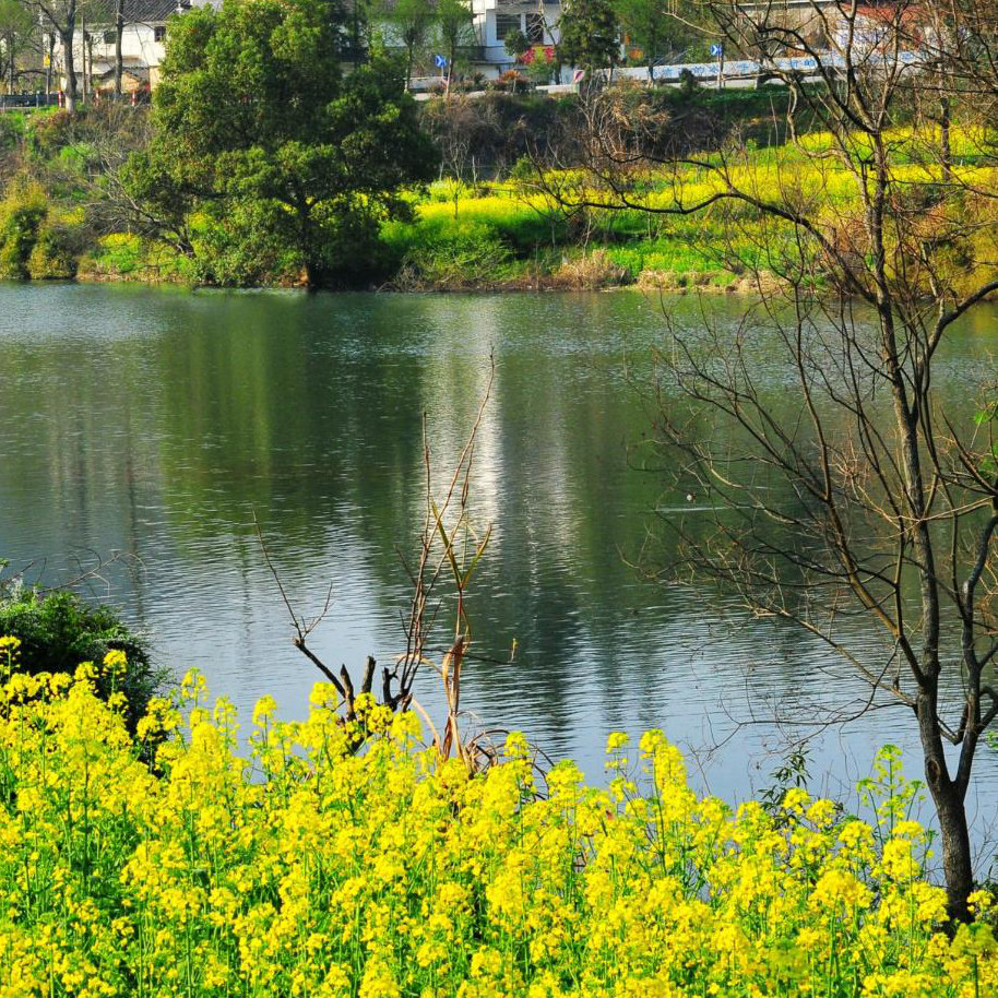 臻选三清山+望仙谷+李坑汪口3日跟团游,寻梦江西,揽赣韵风华