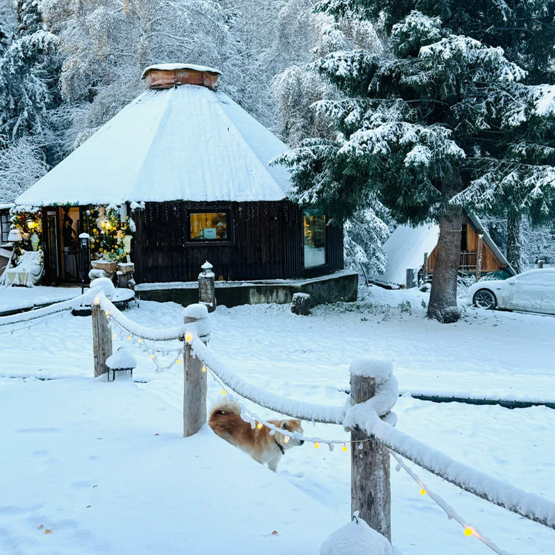 新疆滑雪小团将军山蹦迪白哈巴喀纳斯禾木7天6晚拼车小团头等舱