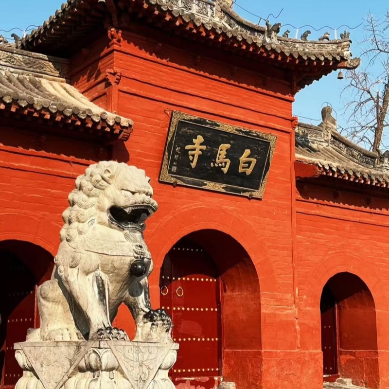 河南8天跟团游少林寺龙门石窟清明上河园万仙山云台山老君山L