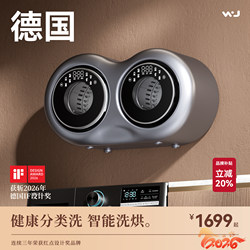 Dual-Tub Partitioned Wall-Mounted Mini Washing Machine, Small Fully Automatic Household Washing and Drying Machine for Underwear