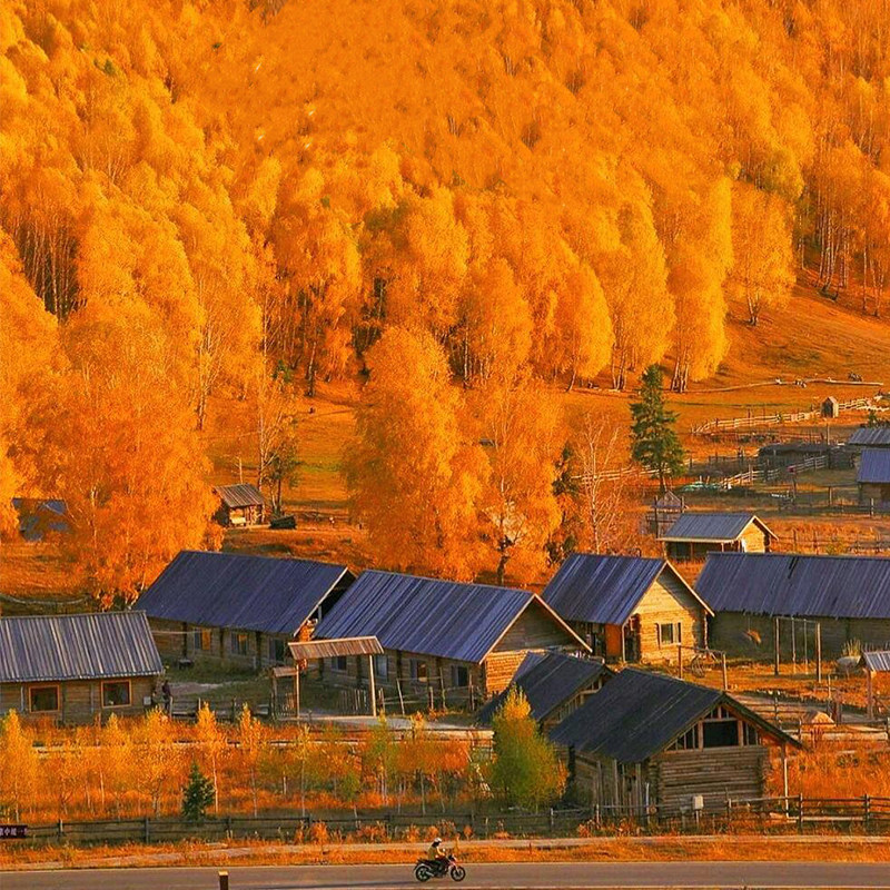 冬季滑雪新疆旅游小团阿勒泰喀纳斯禾木五彩滩6天5晚跟团游飞猪行