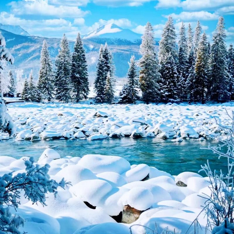 【冬游双湖】新疆旅游9天8晚喀纳斯禾木赛里木湖纯玩9日活动