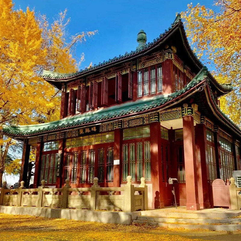 15人团/南京钟山 中山陵+美龄宫+明孝陵+音乐台一日游/穿越梧桐树