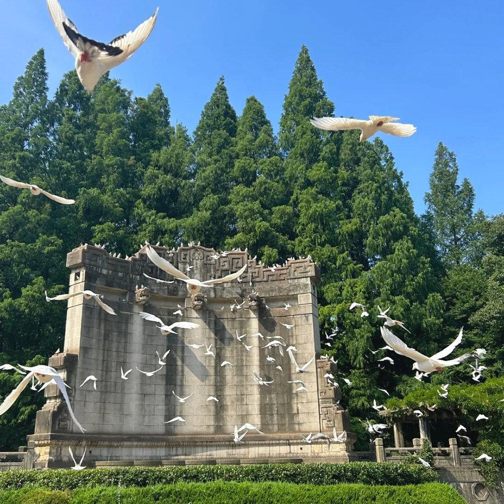 15人团/南京钟山 中山陵+美龄宫+明孝陵+音乐台一日游/穿越梧桐树