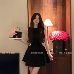 Shuhulei Birthday Dress [Series Collection] Suit Dress Women's Fashionable and Elegant Waist-Cinching High-End Dress