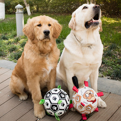 Pet supplies dog toy football interactive training large dog golden retriever Labrador bite-resistant toy ball