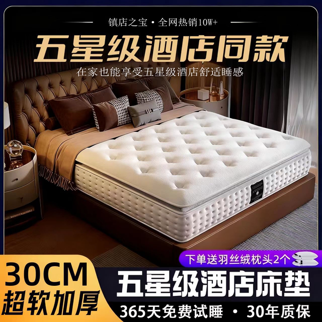 Top 10 Famous Brands Five-Star Hotel Latex Memory Foam Independent Bag Spring Home Bedroom Mattress Soft Pad