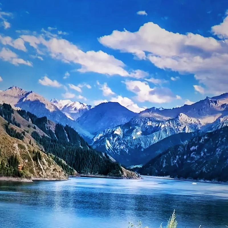 新疆天山天池1日 大团/直通车/小团可选