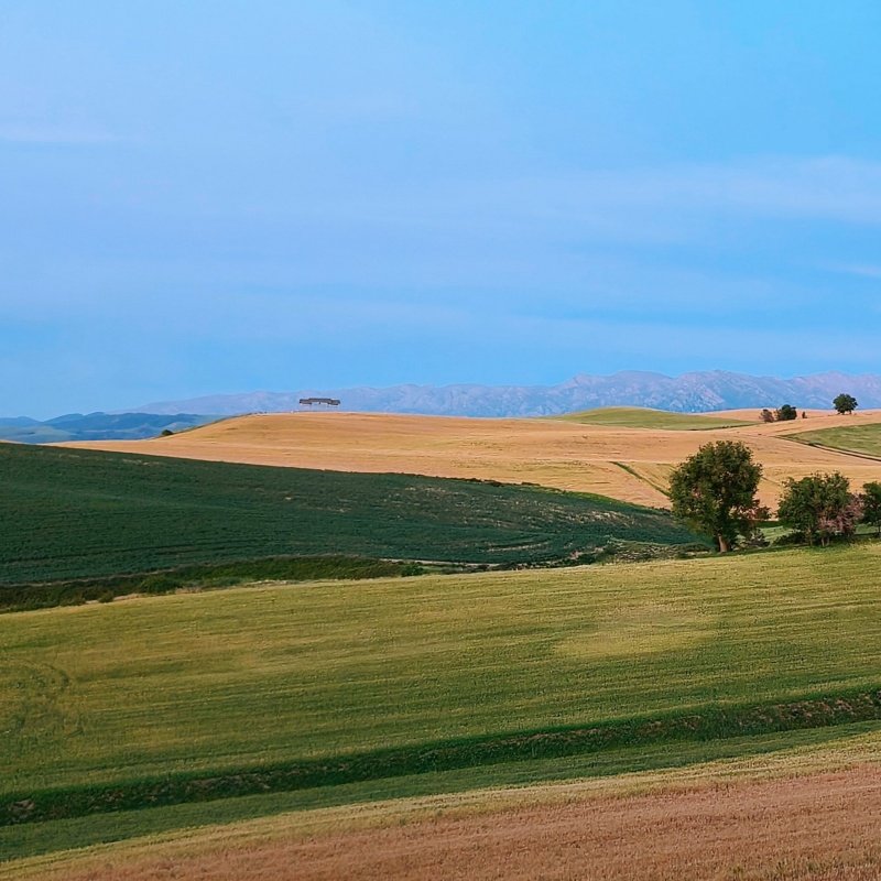 新疆江布拉克大草原1日 万亩麦浪 花海子 大峡谷等 多集合地可选