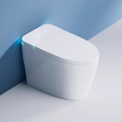 Miabs Genuine Xiaomi Mijia App Fully Automatic Integrated Smart Toilet with Heating and No Water Pressure Limit