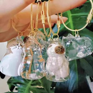 
Transparent cat hair storage box hanging gaunt cat hair storage capsules commemorative collection package keychain package pendant