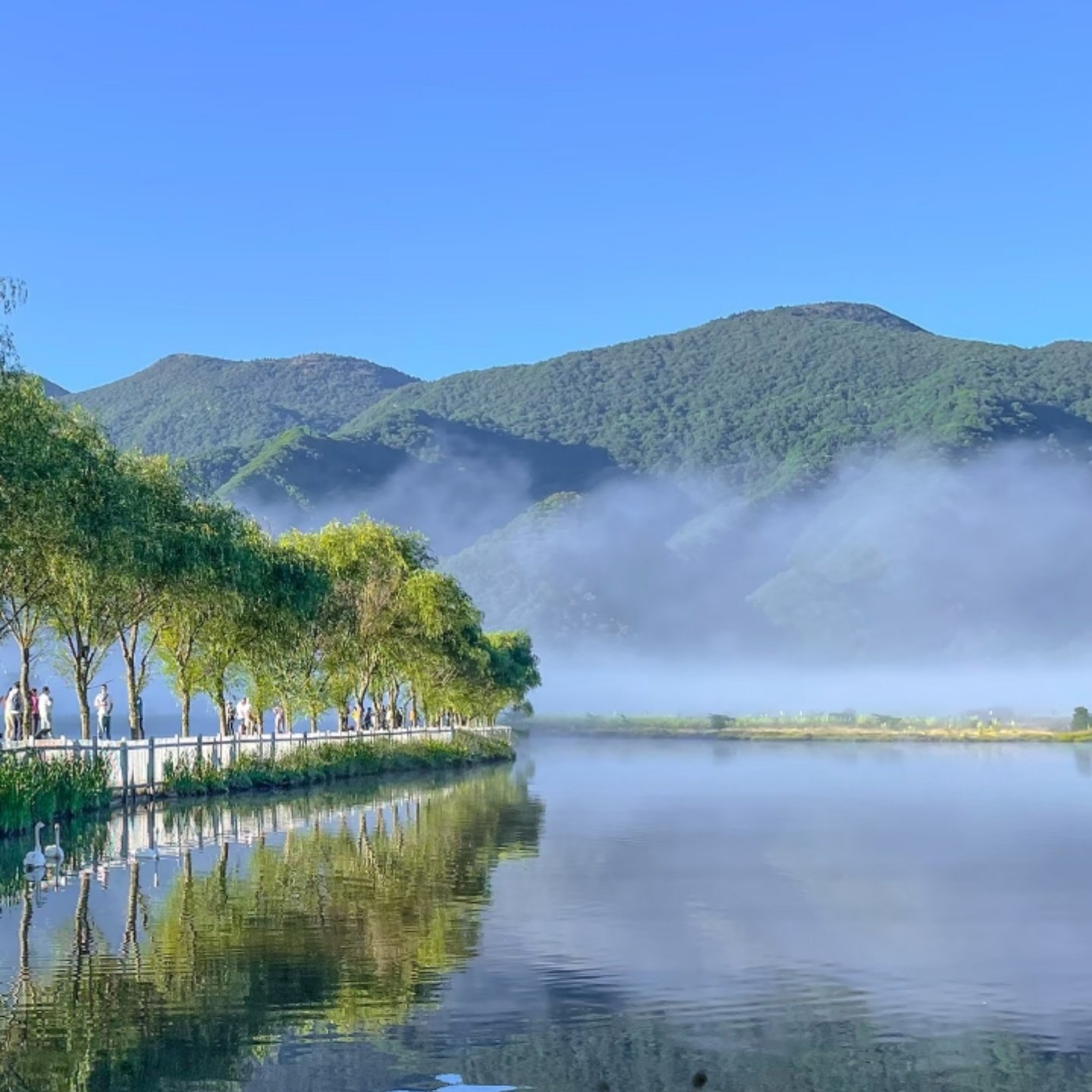 湖北宜昌8天7晚跟团游三峡大坝神农顶官门山天生桥大九湖