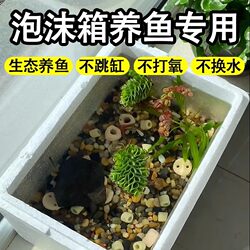 Foam Box for Fish Farming, Lazy High-Density Insulated Box, Thickeneded Fish Tank, Ornamental Fish and Turtle Tank, Household Manufacturer