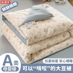 Hengyuanxiang Home Textiles Class a Soybean Fiber Quilt Spring and Autumn Quilt Summer Cooling Quilt Pure Cotton Machine Washable Air Conditioning Quilt