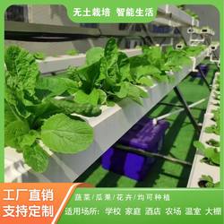 NFT soilless cultivation vegetables and strawberry planting semi-A squad hydroponic equipment balcony pipeline vegetable planting machine school science popularization