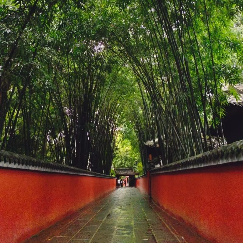 杜甫草堂博物馆 深度人工讲解/赠耳机