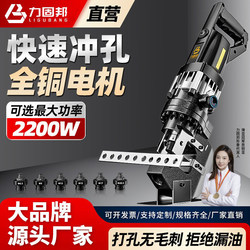 Electric Hydraulic Punching Machine for Angle Iron, Small Portable Punching Tool for Channel Steel, Stainless Steel, and Photovoltaic Applications