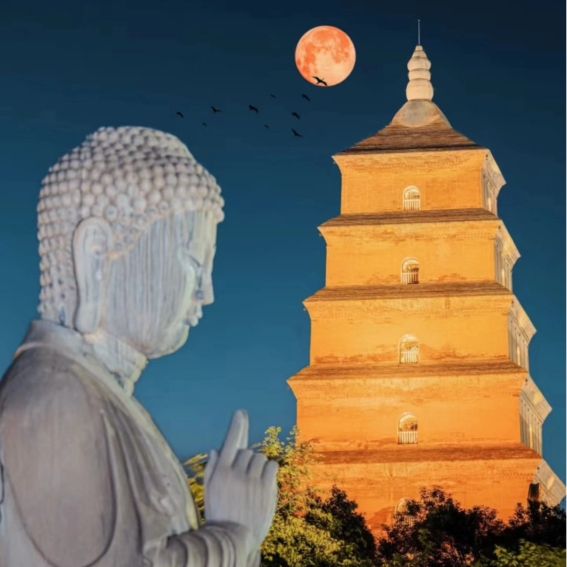 【盛世唐朝】西安+兵马俑/华清宫/壶口瀑布/大唐不夜城五日游