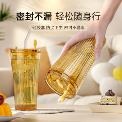 New Style Double Drinking Cup with Straw, Coffee Cup, Milk Tea Cup, Beverage Cup for Office, Dormitory, Home Use, High Borosilicate Glass Cup