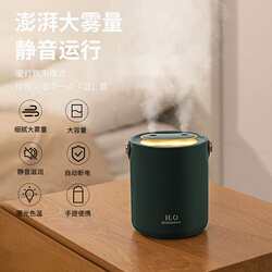 New home portable large-capacity dual-spray anti-dry burning atmosphere light usb mini humidifier