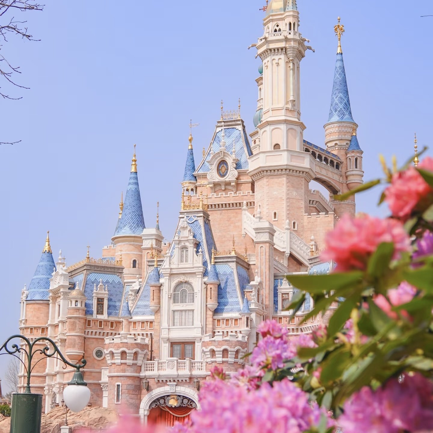 【私家团】上海迪士尼3天2晚|专车出行