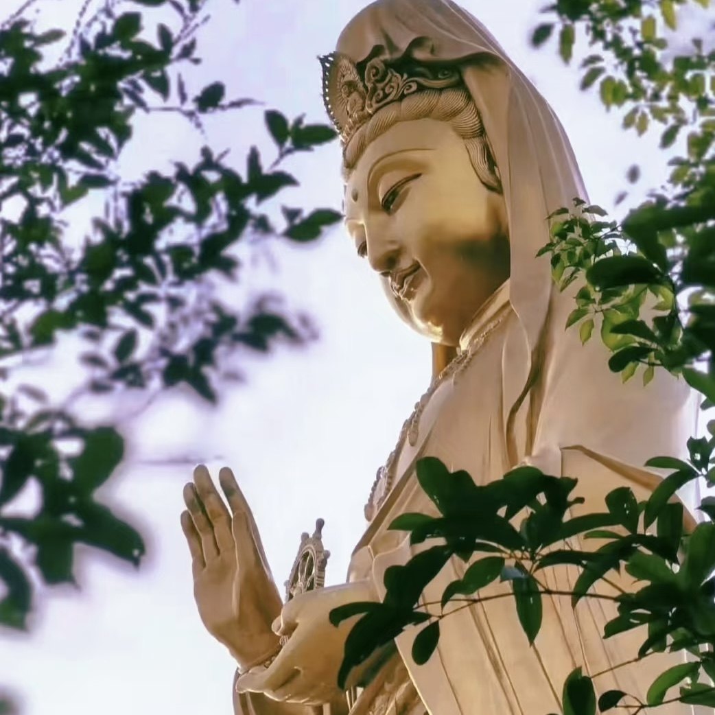 杭州+乌镇+西塘+普陀5日游【四钻酒店+宿普陀岛上丨纯玩祈福】