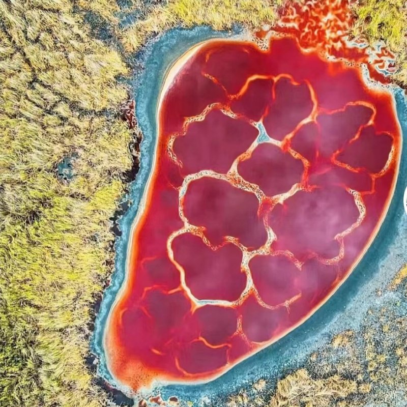 宁夏银川4日游影视城+岩画+王陵+五湖穿越+乌海湖+拉僧庙+沙坡头