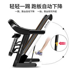 Bedra Treadmill 530S Household Model Small Foldable Indoor Electric Mini Ultra-Quiet Treadmill for Women, Dedicated for Gym Use