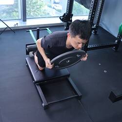 Commercial Portable Nordic Ghd Multifunctional Roman Chair for Waist, Back, and Abdominal Muscle Training Goat Back Extension Fitness Equipment