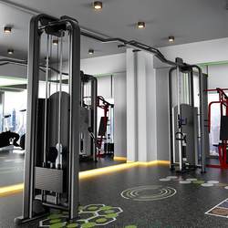 Gantry Commercial Small Flying Bird Comprehensive Trainer Gym-Specific Big Flying Bird Multi-Function Arm Strength Machine Double Arm Machine